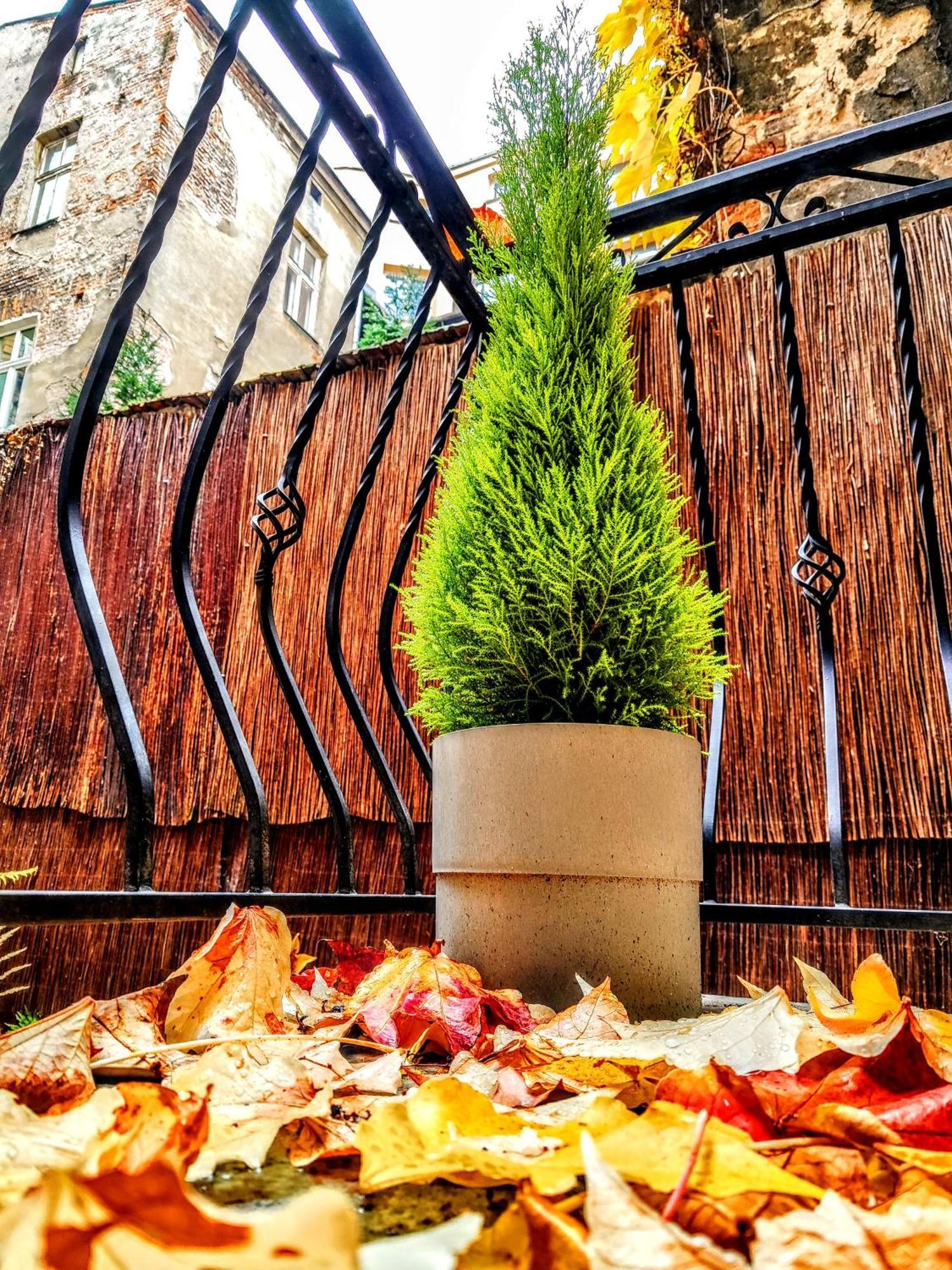 Z-1 Krakow Old Town O&P Apartfamily Экстерьер фото
